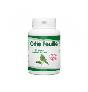 GPH ORTIE FEUILLE BIO 210MG B200 GELULES